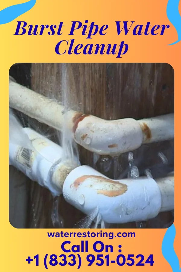 Burst Pipe Water Cleanup in Yale, MI