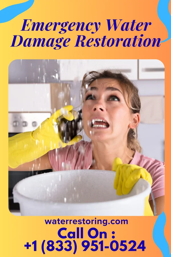 Emergency Water Damage Restoration in Yale, MI