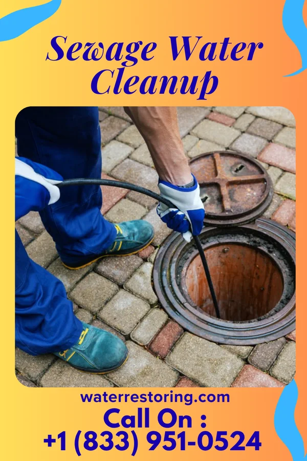 Sewage Water Cleanup in Yale, MI